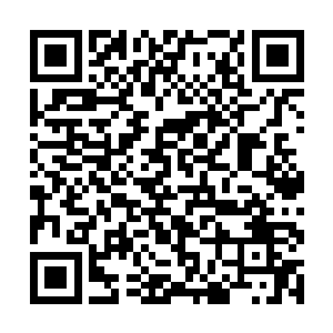 你的体质是我见过的人里面最好的…恢复力实在很强二维码生成