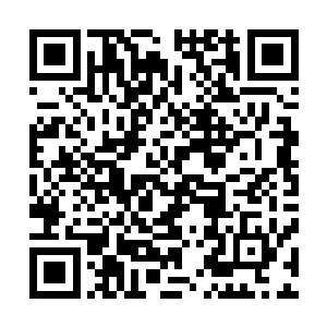 你的意思是……你愿意帮我一起去那个黑心工厂拍摄证据了二维码生成