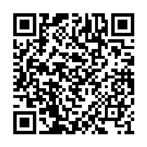你的意思是你们每个到恒安基地的人都取了血液二维码生成