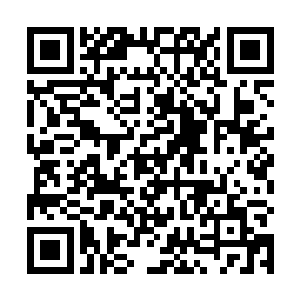 你的意思是她在那么短的时间内就破坏了我府内的阵法二维码生成