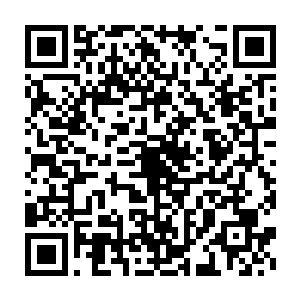 你的意思是拥有领域的六鼎九阶天才没有打过他这个五鼎九阶的小子二维码生成