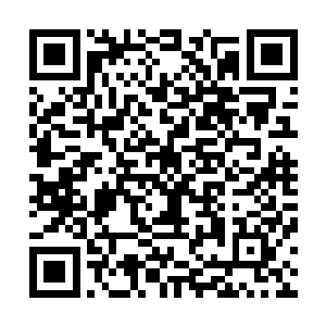 你的意思是说现在圣尊系统之中并不是所有的东西都能兑换二维码生成