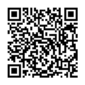 你的意思是说黑影是东乌人用海洋生物基因技术制造出来的怪物二维码生成