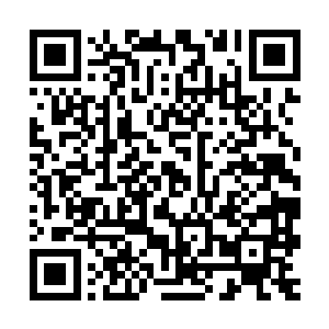你的意思该不会是说……这些臭气都是……都是我放出来的屁吧二维码生成