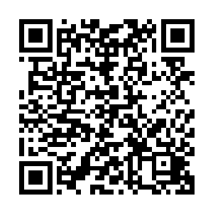 你的战斗力已经远远超过了转轮二变甚至达到了转轮三变的水平二维码生成