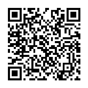 你的推测仅仅解决了进攻帝都的四大家族皇牌舰队二维码生成