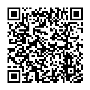 你的神魂武器总不可能伪造整个天元界乃至盘古宇宙的古修典籍吧二维码生成