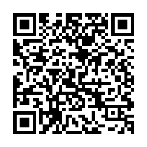 你的血液之中一定隐含着某种对金圣银圣来说至关重要的能量二维码生成