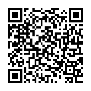 你的话让我决定把之前语文老师交给我的知识全部还给语文老师二维码生成