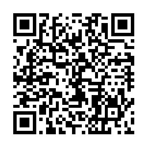 你的这些女人怎么可能拦得住我这天地至为玄妙的先天八卦二维码生成