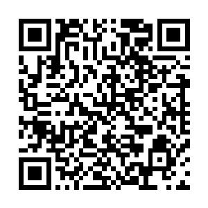 你的那些难兄难弟因为你的死还会继续过着逍遥快活的日子二维码生成