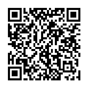 你的金雷天书乃是上古时期洪荒妖兽吞金雷兽的天赋神通二维码生成