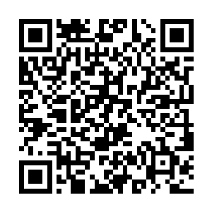 你看刚刚那一波诺夏见到这泰隆开了幽梦冲过来以后二维码生成