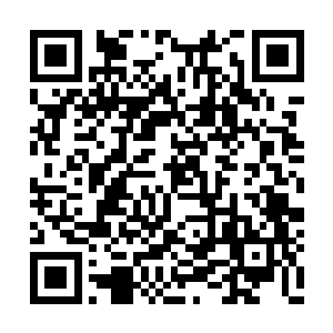 你看到的这一块是排名最靠后的五百名内门弟子二维码生成