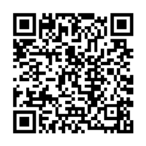 你看有没有办法能从领导那里拿回夏薇的退学申请书二维码生成