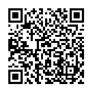 你看看……多感人……多幸福……多么令人羡慕呀……呜呜二维码生成