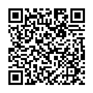 你看看他们几个身上……哪一个挨的打也不比张真少二维码生成