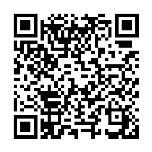 你看看没有问题就在第八页和第三十五页签一下字二维码生成