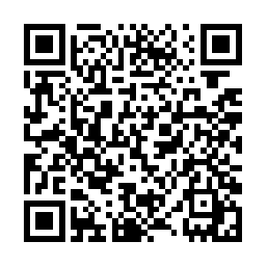 你看看现在――外面有多少人羡慕我当年的投资眼光二维码生成