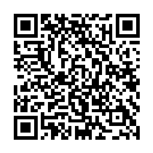 你真以为炼药师殿堂在咱们炼药师协会里没有藏人吗二维码生成