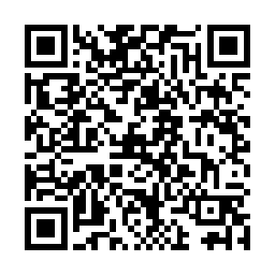 你真信他们说的什么只要你们母女听话就有活命的机会二维码生成