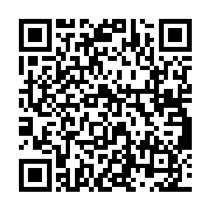 你真当毒兽世界那么大的一个结界是结界师布下的吗二维码生成