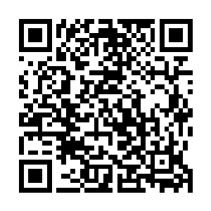 你真有这个本事也不会像个小偷一样来毁坏我的龙王兰了二维码生成