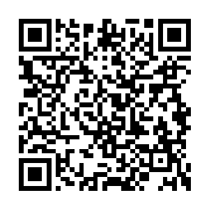 你真的想与我……这样真能让你达到报复的目的二维码生成