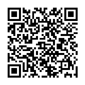 你真的能够将那丹药在对方毫无察觉的情况下变成赝品二维码生成