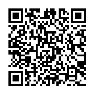 你瞧……这都跟了我几十年了……武学境界还是十分拙浅二维码生成