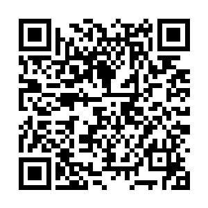 你知不知十天前你是被人抬着从塔布大森林出来的二维码生成