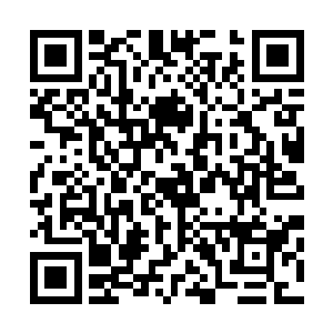 你知不知道为了这盆第五转的紫色蔷薇花你几乎快要没命了二维码生成