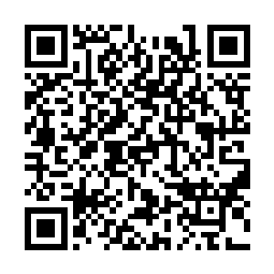 你知不知道你养的那些螳螂现在每年的消耗有多大二维码生成