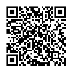 你知不知道太乙玄门和执天阁那些宗门来了多少骑士二维码生成