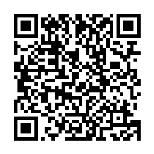 你知不知道对于一个职业选手来讲名气和粉丝意味着什么二维码生成