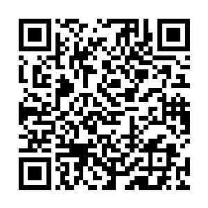 你知道为什么修真者必须要通过登仙路才能上达天庭吗二维码生成