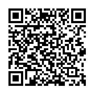 你知道会给张光文一家带來多大的痛苦和伤害么二维码生成