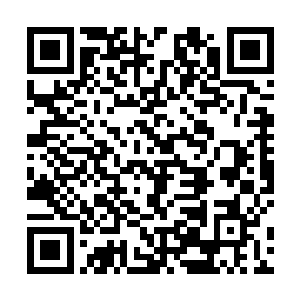 你知道四十年前东乌国研究海洋生物基因技术的事情吗二维码生成