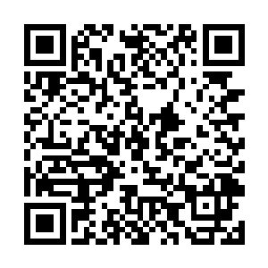 你知道我今天到底是为了什么把你交到这个地方来嘛二维码生成