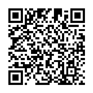 你知道我和严嫂打了多少通电话发了多少条短信给你吗二维码生成