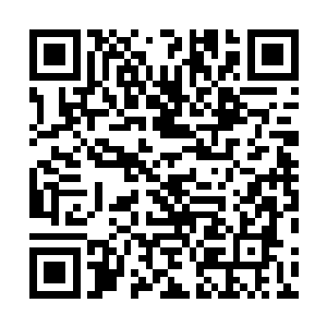 你知道我找你是为了解剖你一条红龙而现在红龙没有了吗二维码生成
