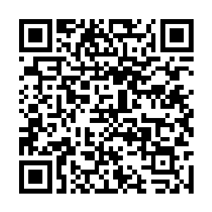 你知道李沐清暗中安置在外的一个弟弟和一个妹妹二维码生成