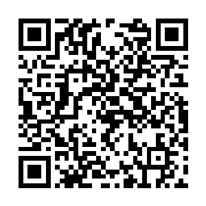 你知道这东南航空公司可是有我百分之二十股份的二维码生成