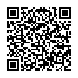 你知道这对一个随时都有可能出外执行任务的军人意味着什么吗二维码生成