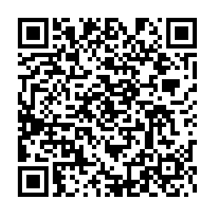 你确实该庆幸你有个好弟弟…你更该庆幸韩明晰是阿璃承认的朋友二维码生成