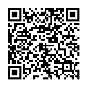 你确认你主人说的是两样东西分别藏在了两口洞里二维码生成