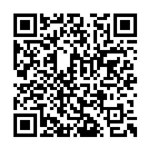 你碰到的应该是无量一道的公孙立道和司徒晴兰二维码生成