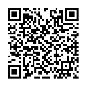 你竟然敢打我……你信不信我马上就将你开除……二维码生成