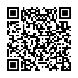 你竟能用剑气来完美掩盖自己大量气息与真元威压二维码生成