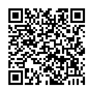 你等会就去太师学院将我要离京的消息告诉王叔叔他们二维码生成